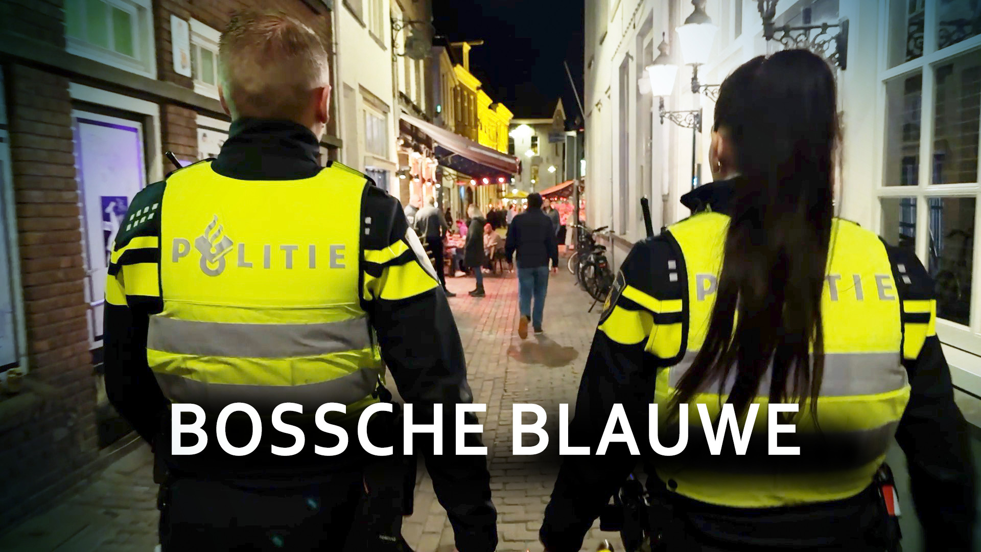 Brabantse Blauwe