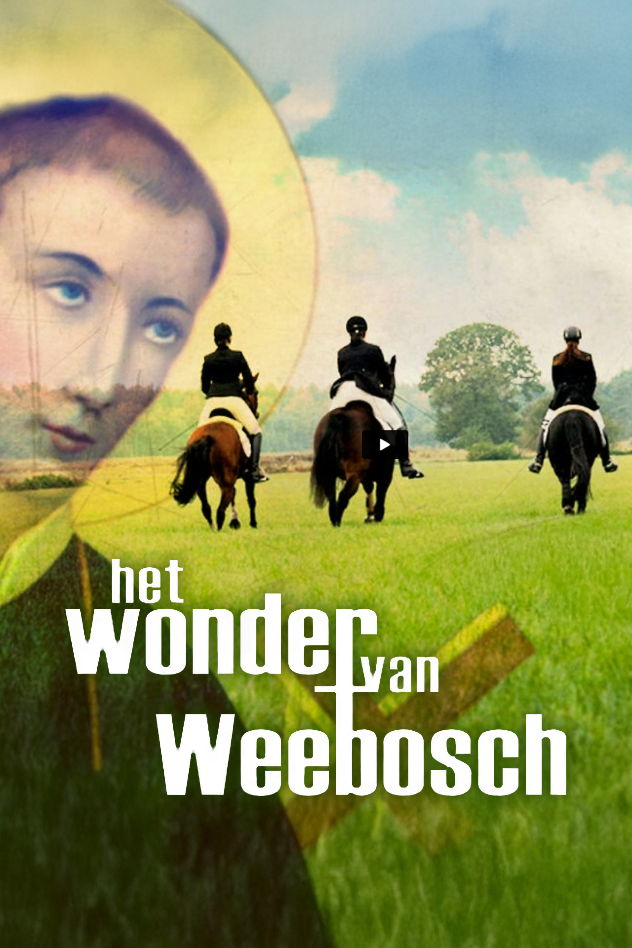 Het wonder van Weebosch