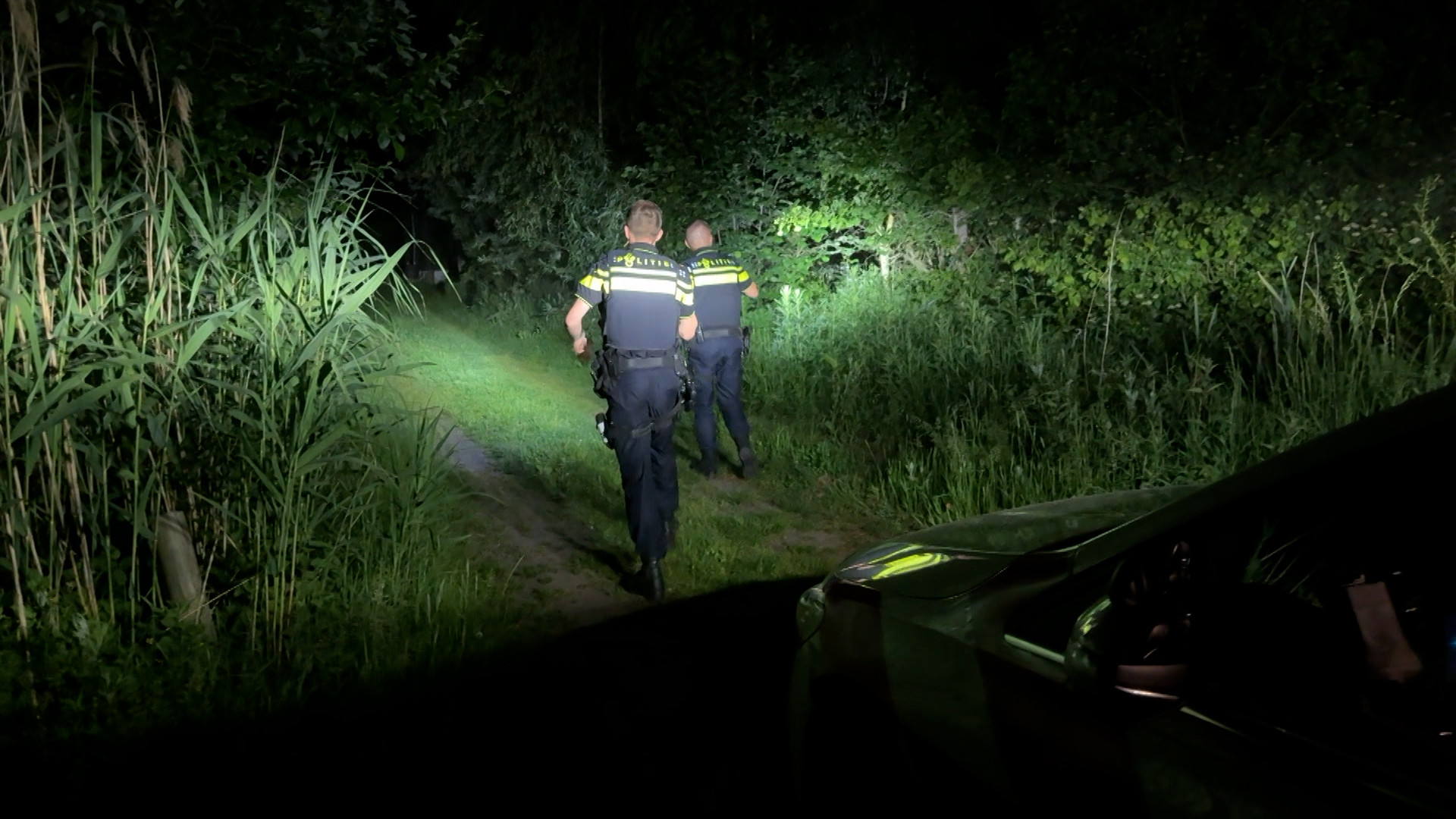 Brabantse Blauwe - Aflevering 1