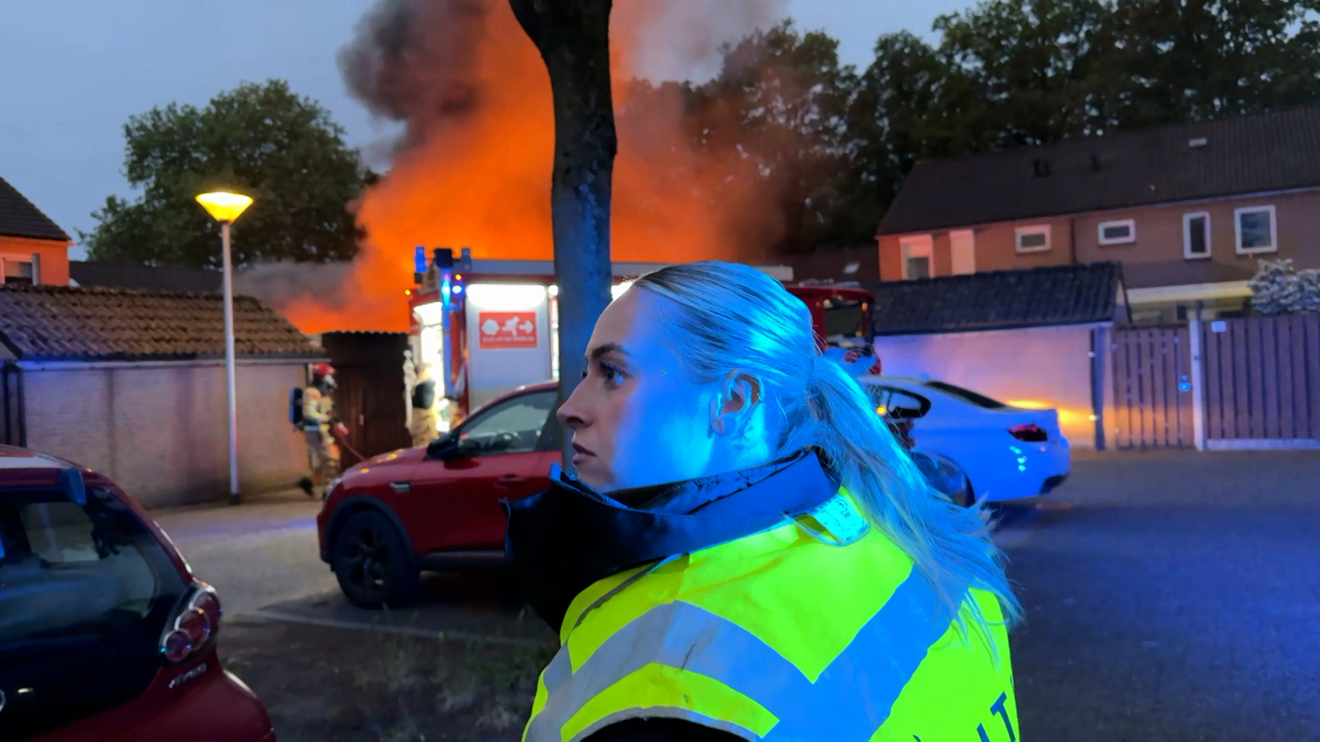 Brabantse Blauwe - Aflevering 3