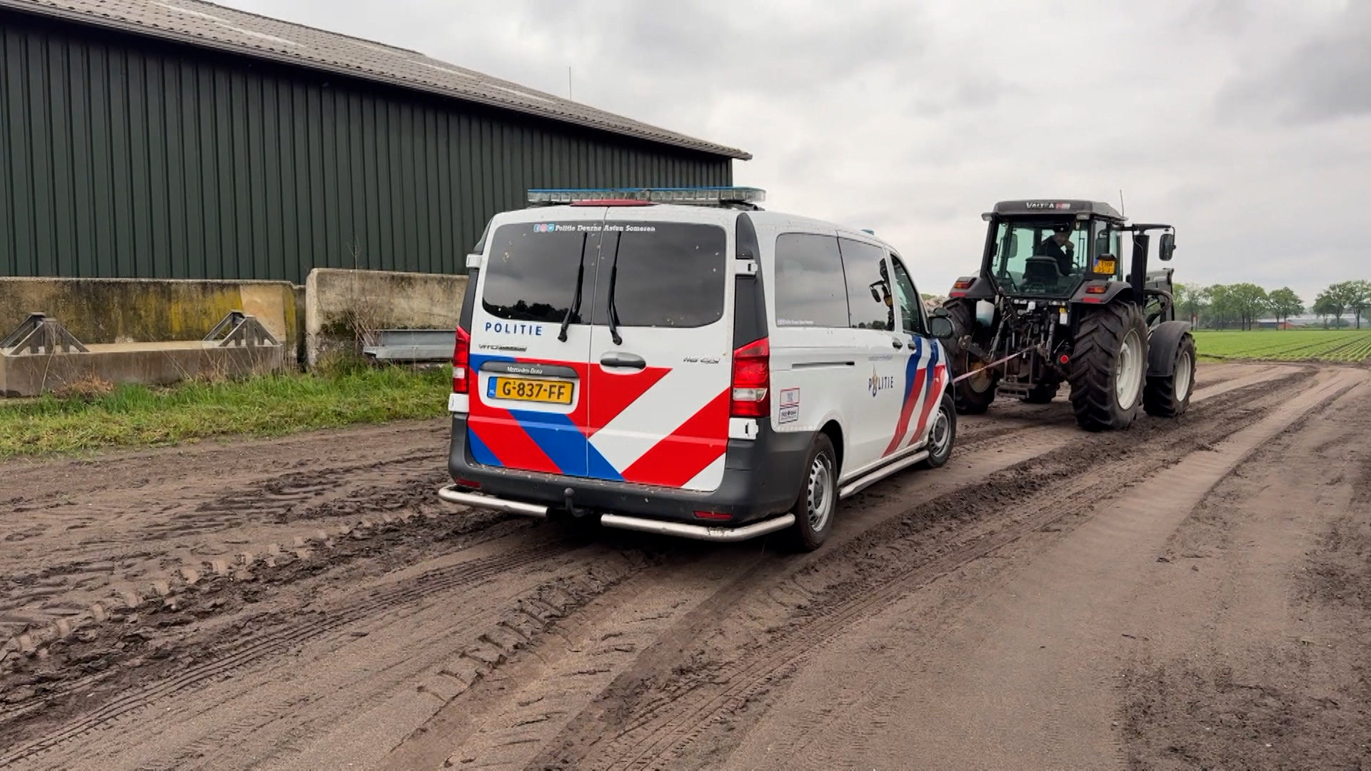 Brabantse Blauwe - Aflevering 6