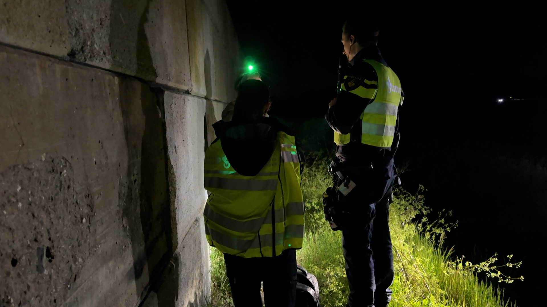 Brabantse Blauwe - Aflevering 8
