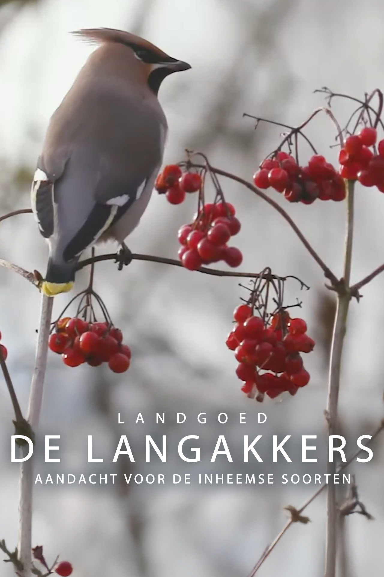 Landgoed de Langakkers