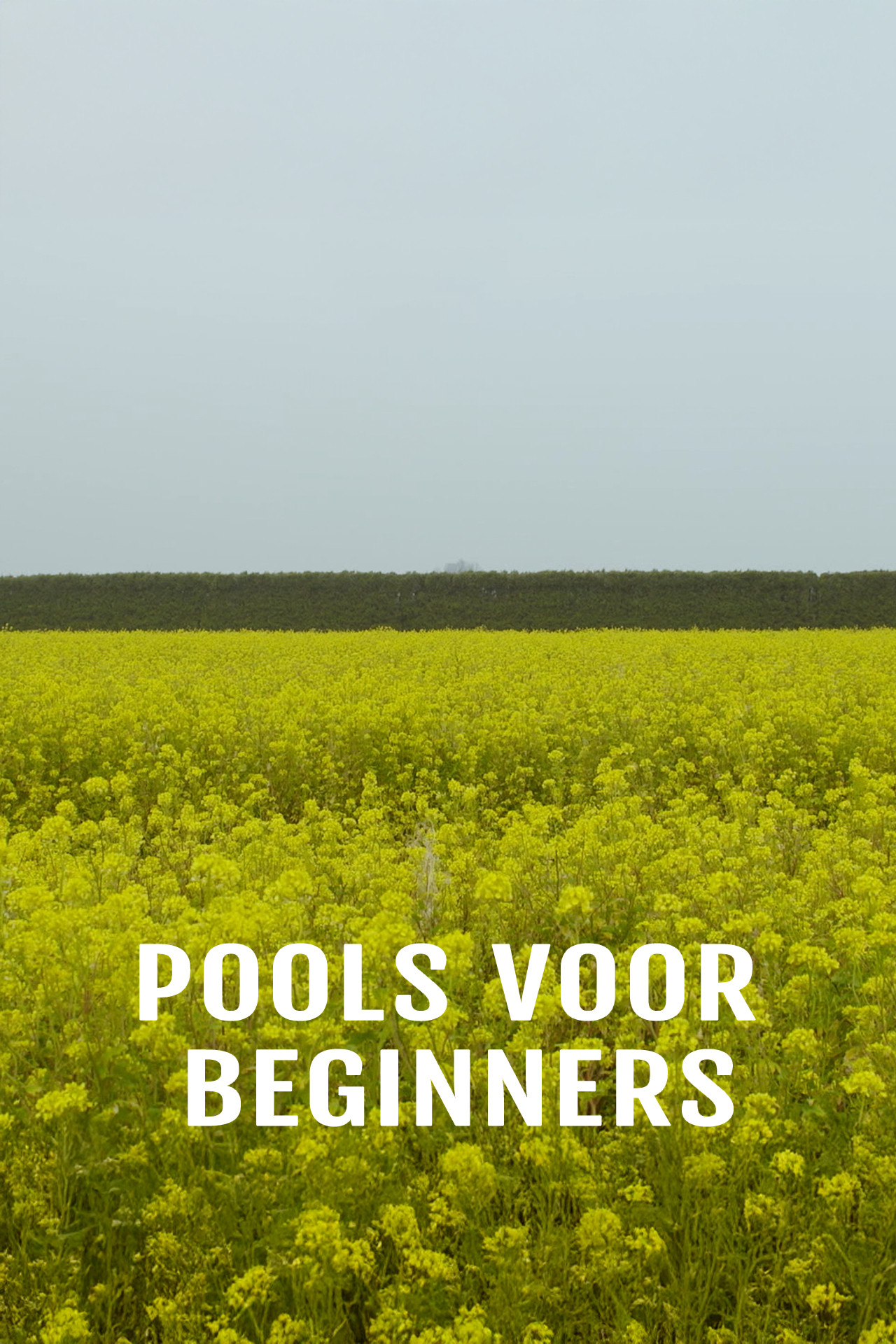 Pools voor Beginners 