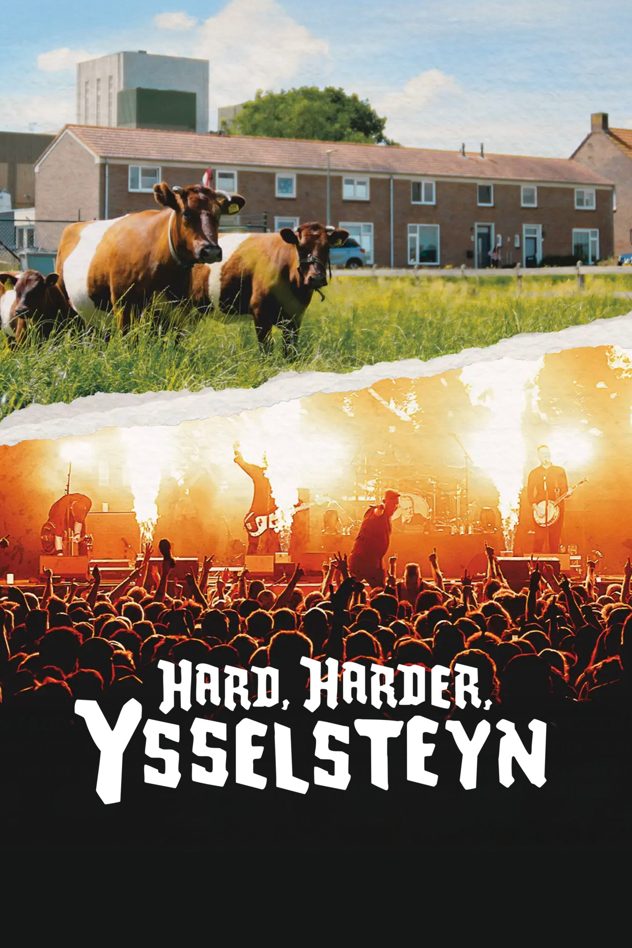 Hard, Harder, Ysselsteyn