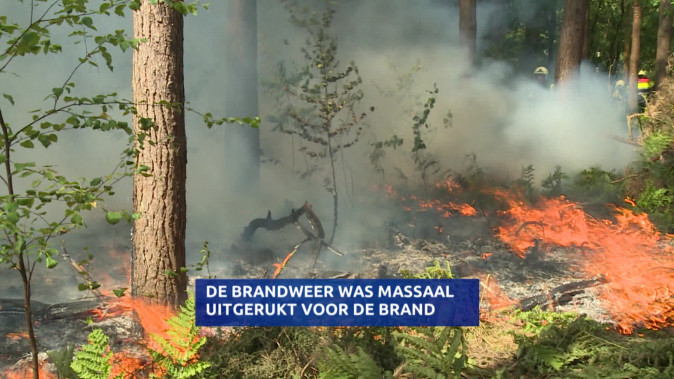 Brand In De Loonse En Drunense Duinen Brand In De Loonse En Drunense Duinen