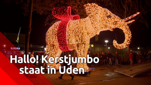 Toepassing zwaan Belegering Geen enorme kerstboom, maar joekel van een kerstolifant in Uden [VIDEO] -  Omroep Brabant